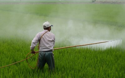 Interdiction des herbicides synthétiques à usage non professionnel